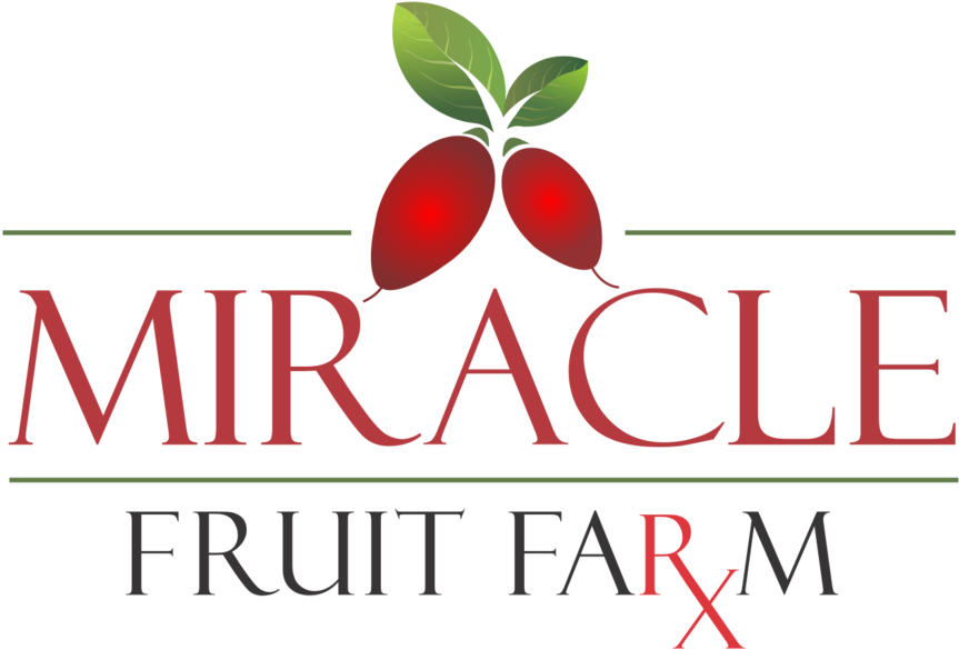 Miracle Fruit Farm, Llc- Fresh Miracle Berries & More (1000x674), Png Download