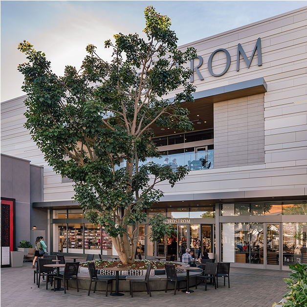 Nordstrom La Jolla (940x627), Png Download