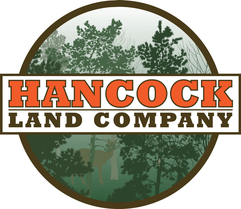 Buy Logs In Maine At Hancock Lumber (800x694), Png Download