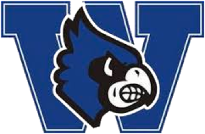 The Marquette Mustangs Defeat The Washington Bluejays (720x470), Png Download