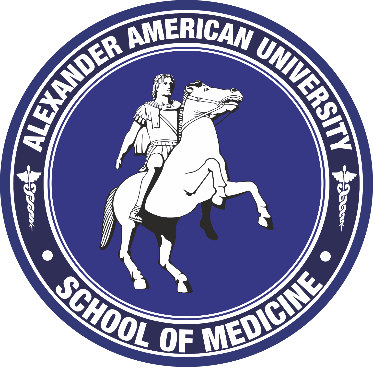 Alexander American University (1524x1500), Png Download