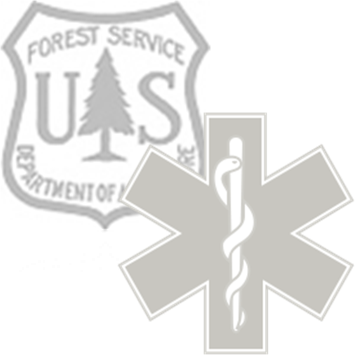 Ems Fs Sheild Logo (712x928), Png Download