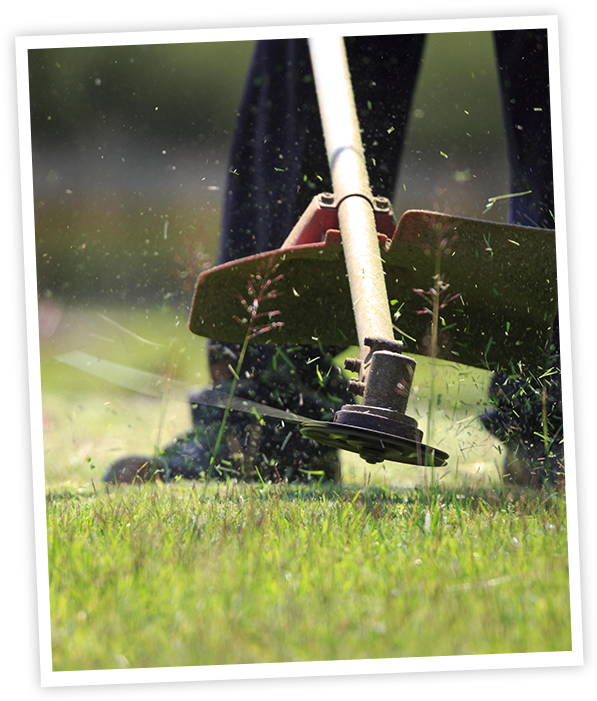 Maintenance Lawn Cutting (632x737), Png Download