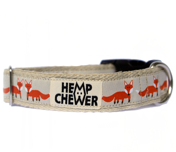 Hempchewer Foxy 25mm Collar (600x600), Png Download