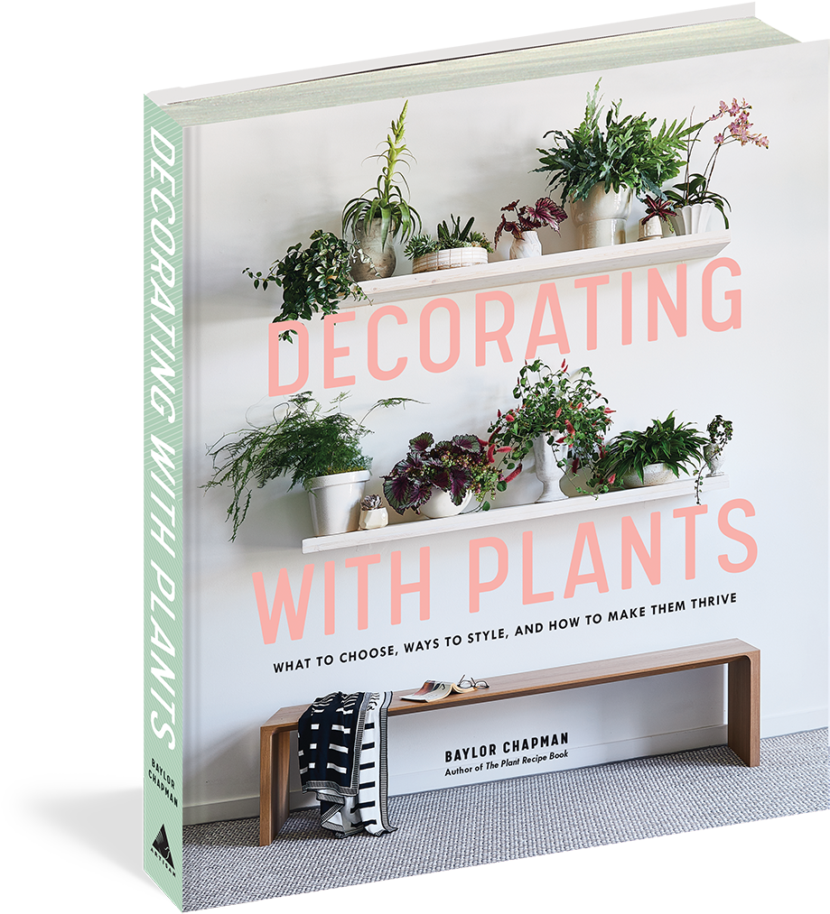 Hanging Plants Png (1008x1056), Png Download