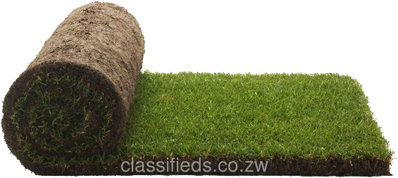 Lawn Png (800x600), Png Download