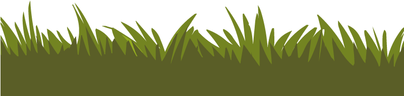 Sweet Grass (800x250), Png Download