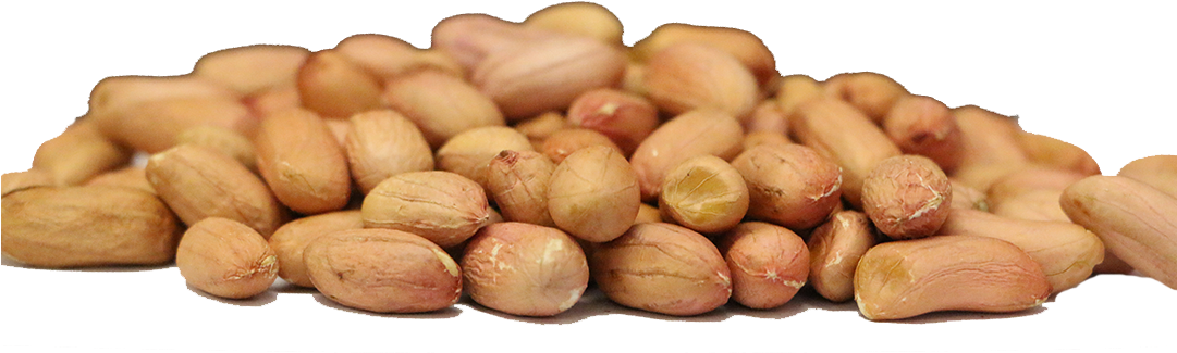 Raw Peanuts - Russet Burbank Potato (1080x608), Png Download