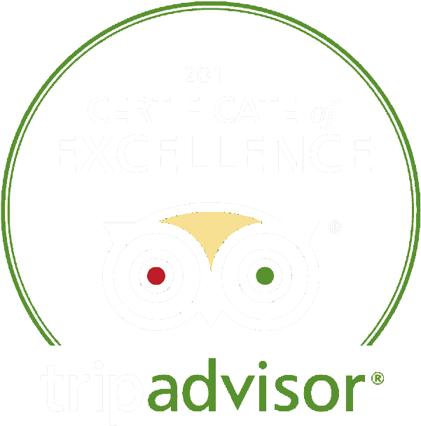 Social - Circle (715x653), Png Download