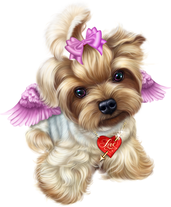 Animal - Dog (663x800), Png Download