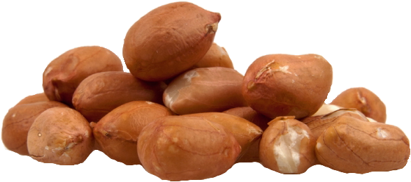 Df 47 Peanut Plain Kernel - Peanut Without Shell (600x284), Png Download