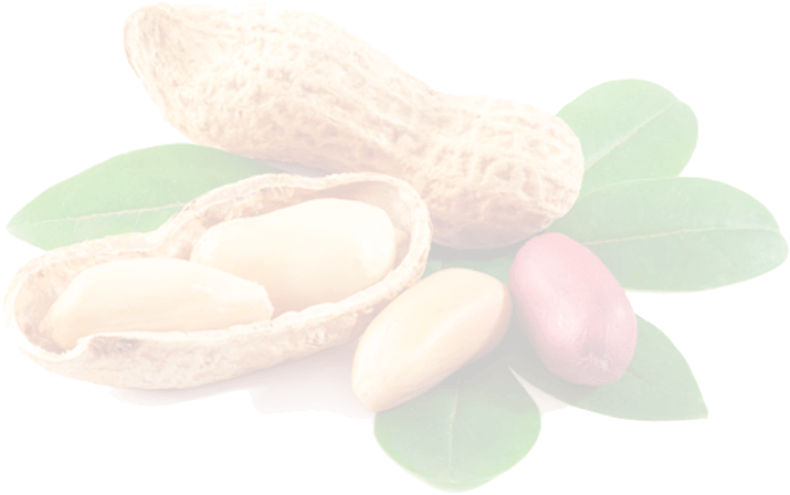 Peanut Png Picture - Peanut House By Lawrence E. Gulley (760x475), Png Download