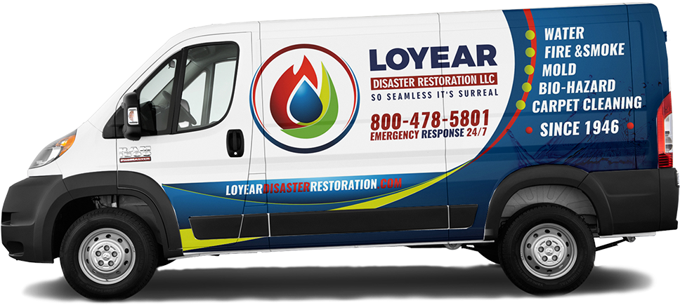 Serving The Twin Cities, Central And Northern Minnesota - 2018 Dodge Ram Promaster 1500 Low Roof Van (1000x478), Png Download