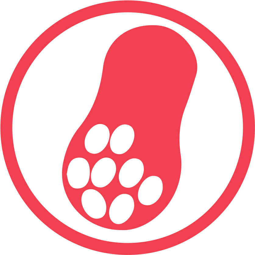 Download Svg Download Png - Peanut Allergy (1024x1024), Png Download