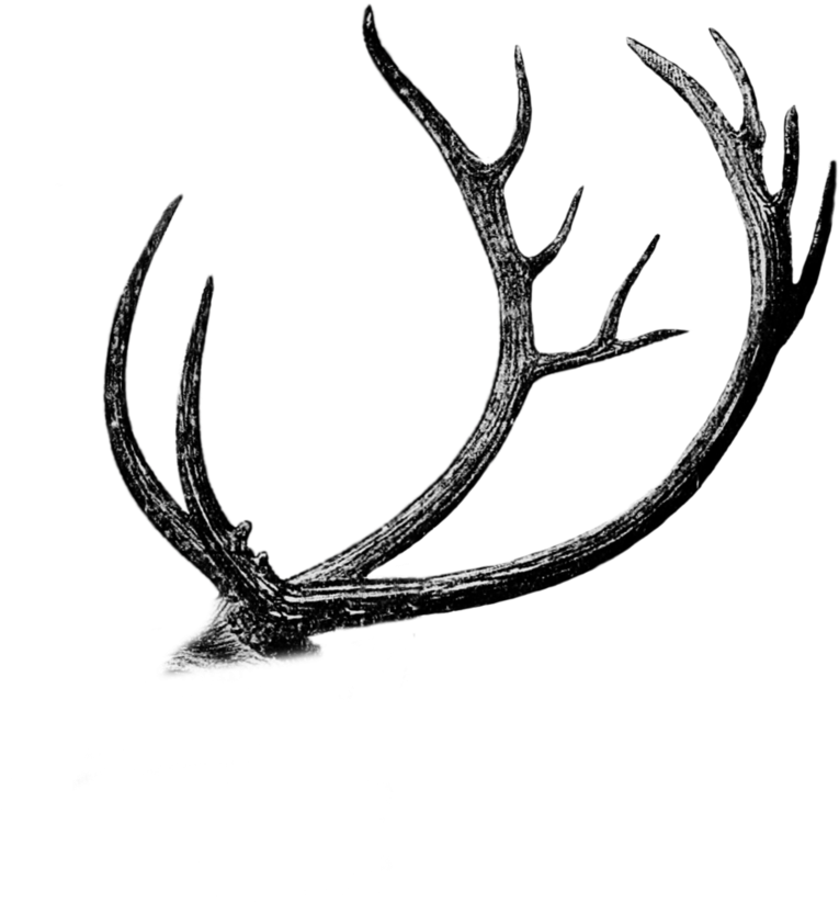 Free Png Antler Cutout By Mauvevrexel - Reindeer (855x934), Png Download