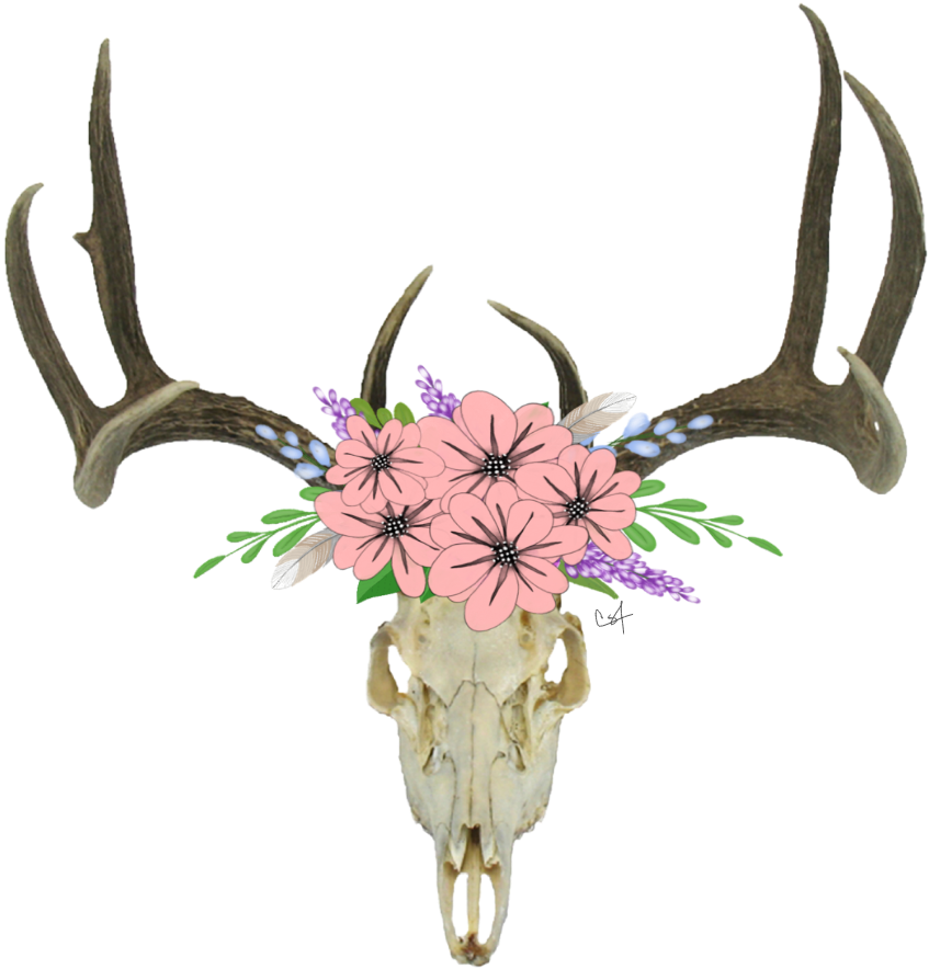 Skull Antlers Flowers Freetoedit - Deer Head Skull Png (1024x1024), Png Download