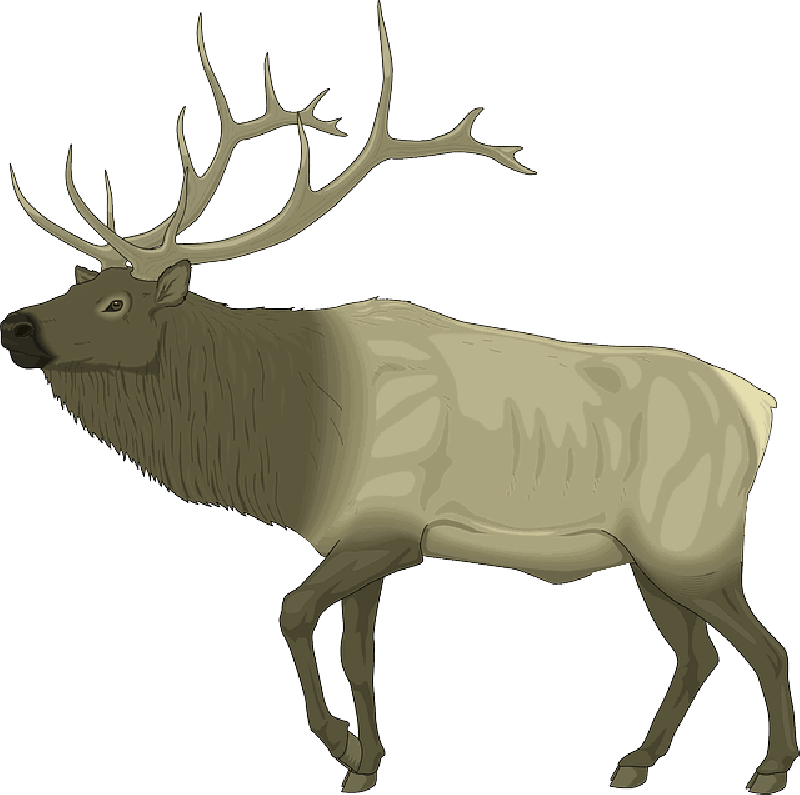 Mb Image/png - Elk Clip Art Free (800x795), Png Download