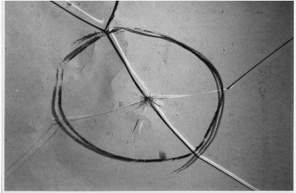 Sauce - Https - //catalog - Archives - Gov/id/305143 - Circle (843x305), Png Download