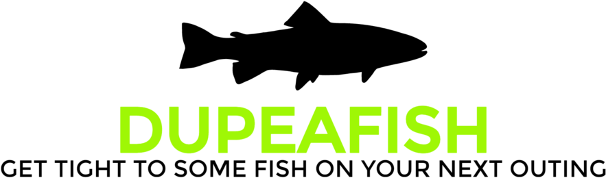 Dupeafish-logo (1000x380), Png Download