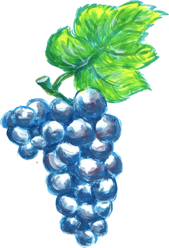 Free Download - Seedless Fruit (694x1019), Png Download