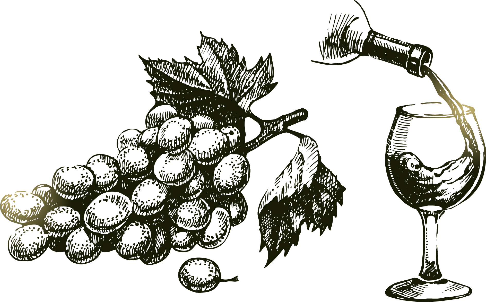 Png Grape Vine At Getdrawings Com Free For - Drawn Vine And Grape (1888x1173), Png Download