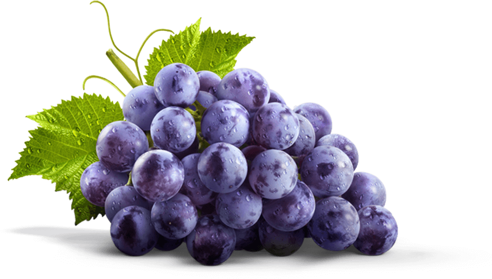 The Mighty Concord - Welch's Refreshingly Simple Concord Grape Juice - 59 (1000x567), Png Download
