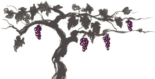 Our Wines - Hangtime Pinot Noir (555x291), Png Download