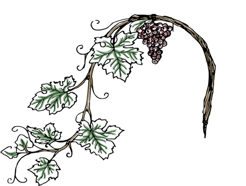 No Experience Necessary - Vine Black And White Clipart (499x392), Png Download