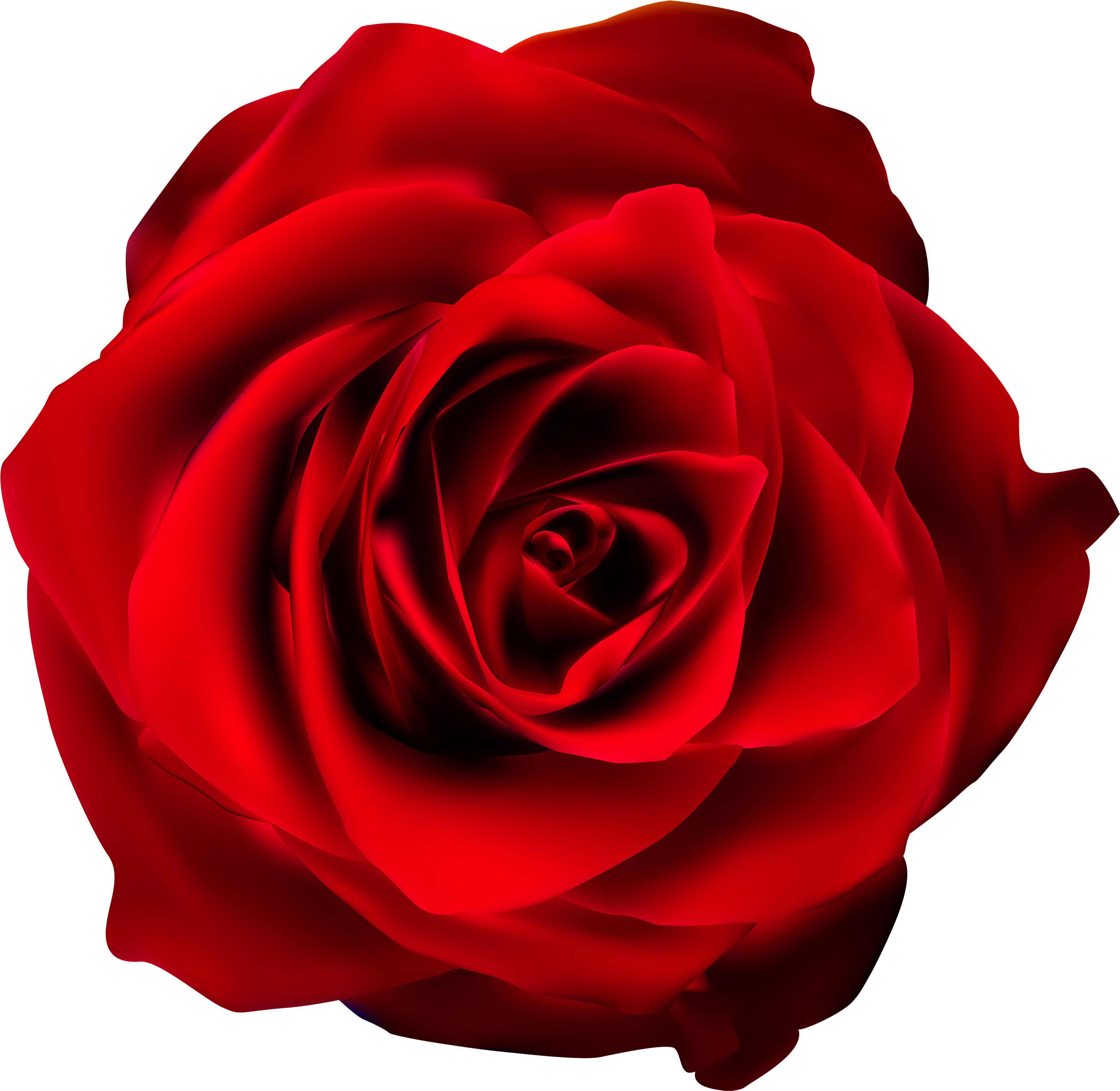 Red Rose Transparent Png Clip Art Image (3000x2943), Png Download