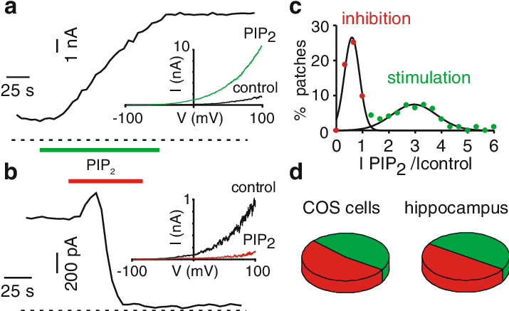 Dual Regulation Of Trek 1 By Pip - Diagram (714x450), Png Download