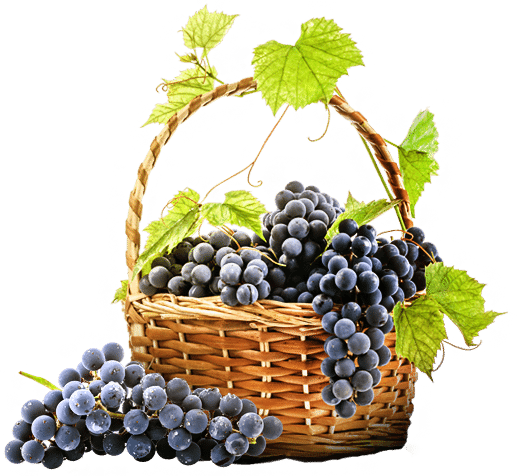 Red Wine Grapes In Basket - Xmifer Pjlw0101 400 Micron Stainless Steel Home Brewing (517x476), Png Download