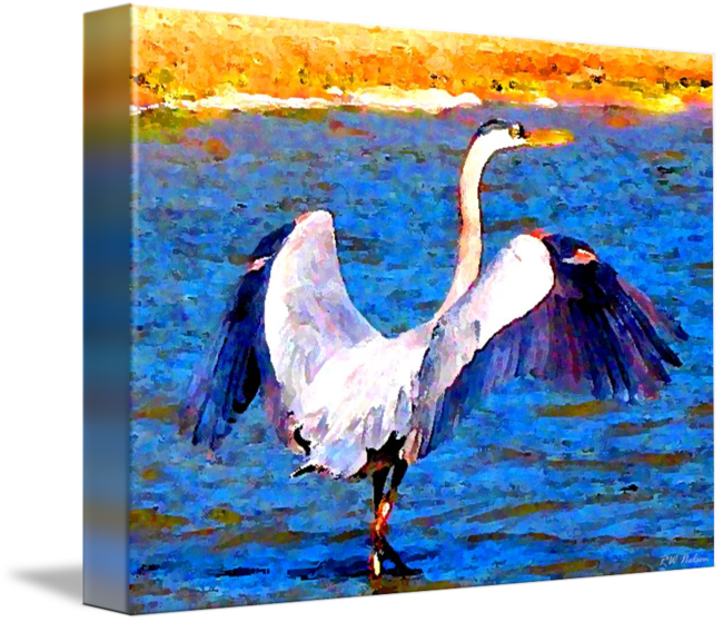 Clip Stock Great Blue By Ralph Nelsen - Drawing (650x559), Png Download