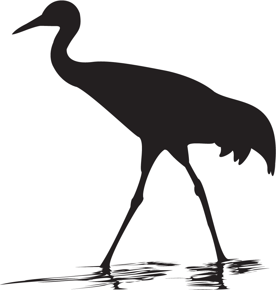 Whooping Crane Overview - Sandhill Crane Png (1024x1024), Png Download