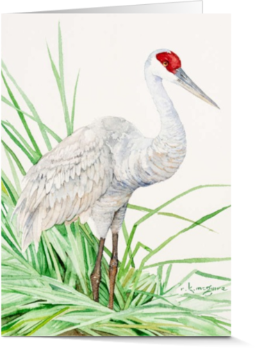 Artist Cards - Facebook (367x500), Png Download