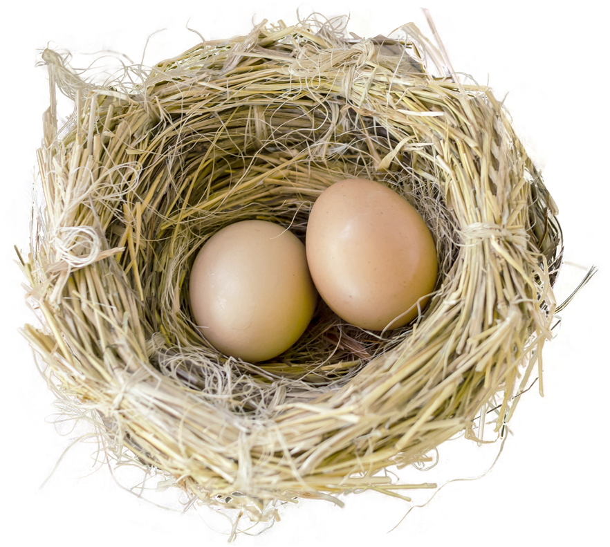 Free Png Bird Nest Png Images Transparent - Nest With Bird No Background (850x763), Png Download