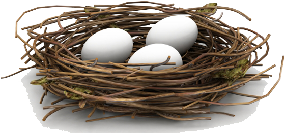 Nest Png Hd - Nest Png (676x300), Png Download