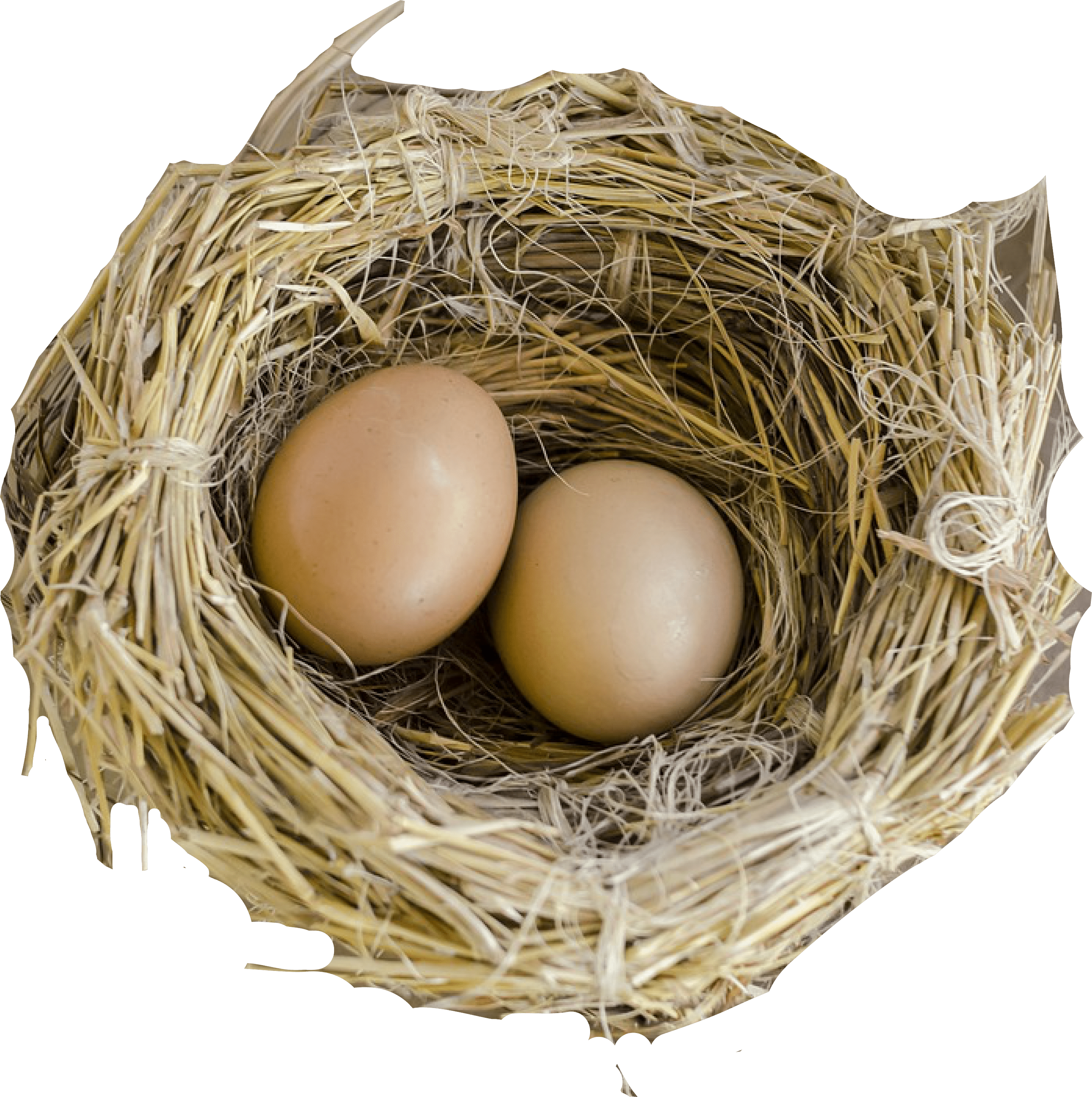 Ein Nest Für Zwei: Gay Romance [book] (2798x2811), Png Download