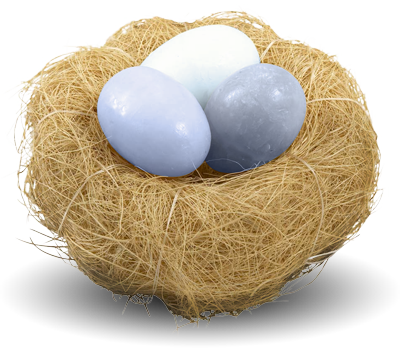 Nest Png Picture - Nest Png (400x350), Png Download