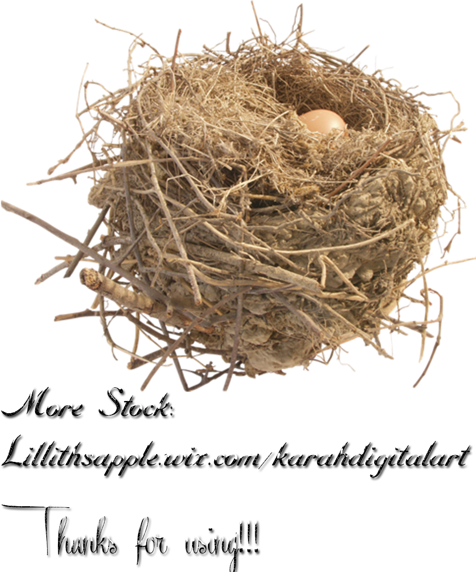 Nest Free Png Image - Stock Photography (1000x1500), Png Download