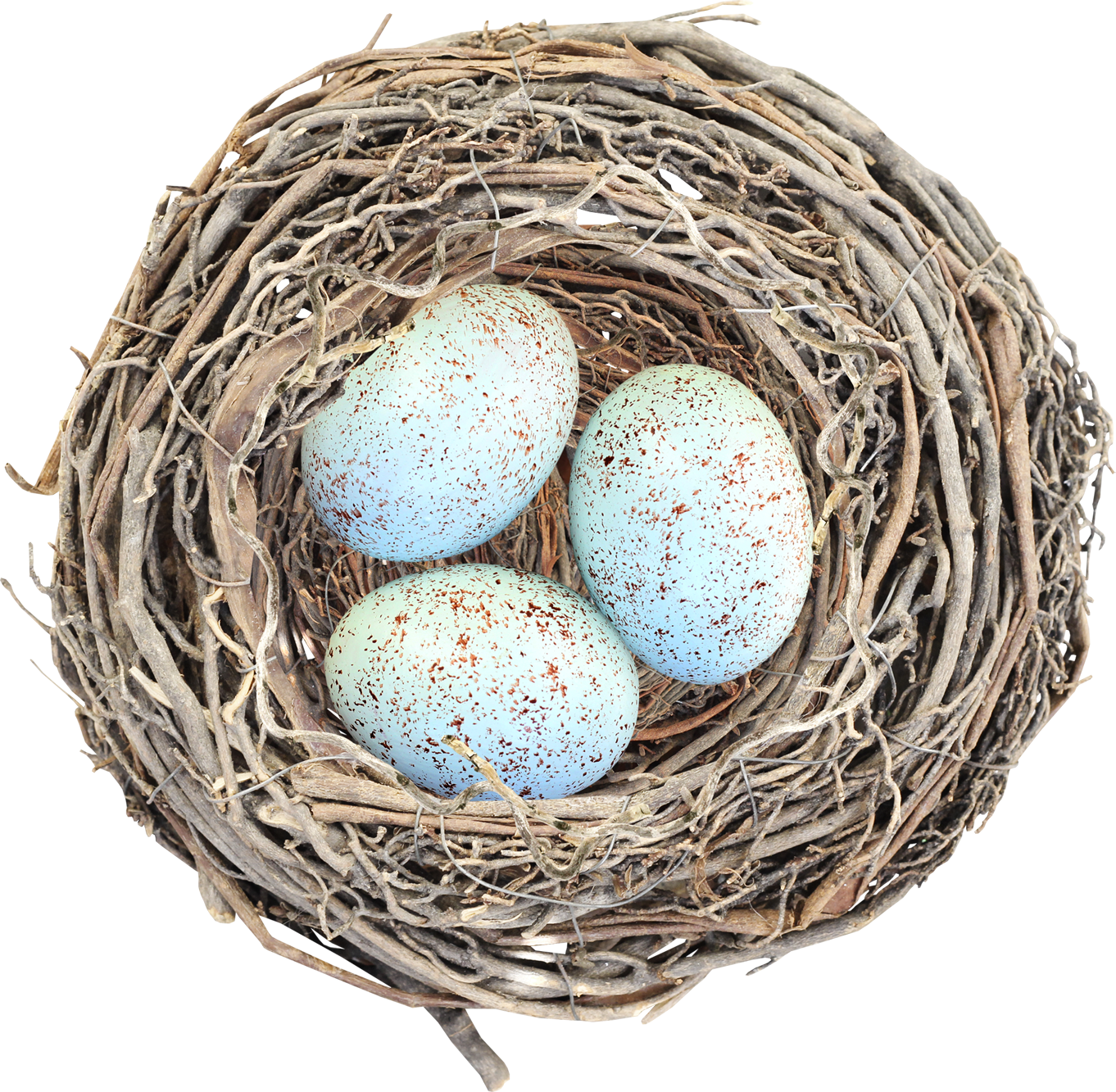 Nest Png (1362x1333), Png Download