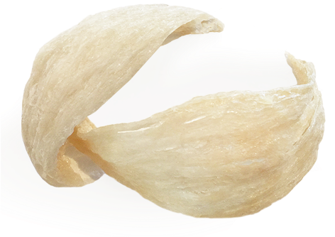 Edible Birds Nest Bowl Shape - Edible Bird's Nest (484x360), Png Download