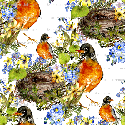 Robin With Nest Watercolor On White - Craft (400x400), Png Download