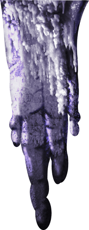 Cave Fungus - Visual Arts (300x770), Png Download