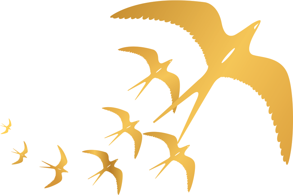 Edible Bird's Nest (985x658), Png Download