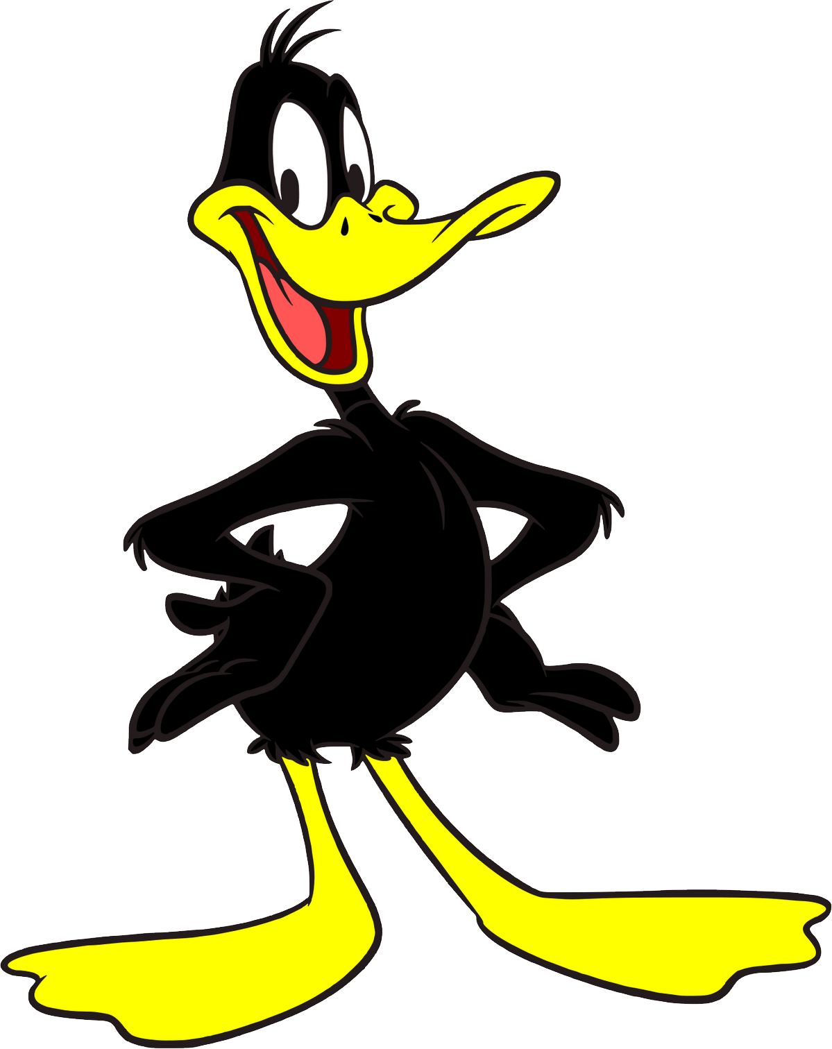 Daffy Duck Png - Duck From Looney Tunes (1199x1512), Png Download