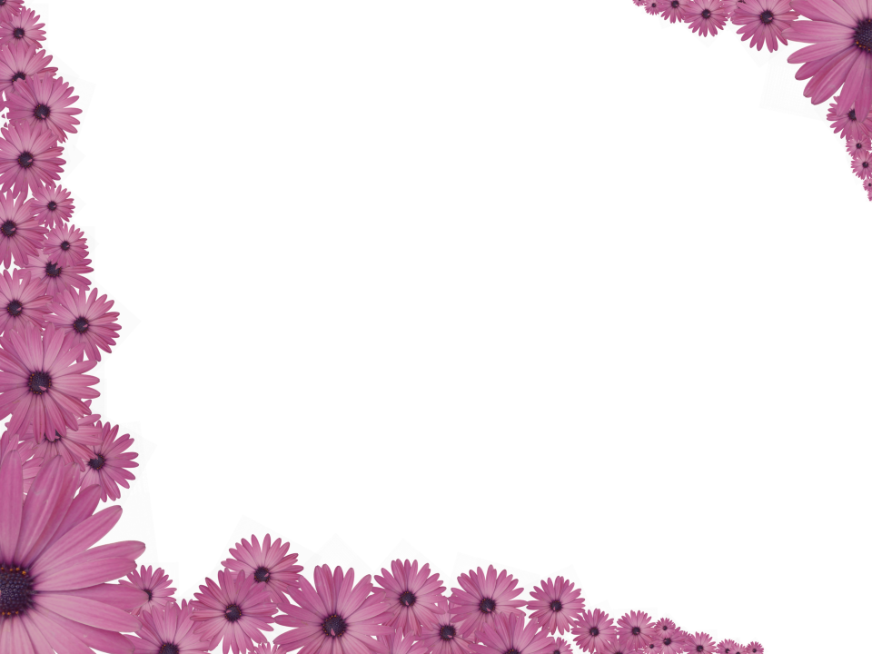 Pink Flowers Sprinkled At Corners Of Rectangular - Flower Border Transparent Background (960x720), Png Download