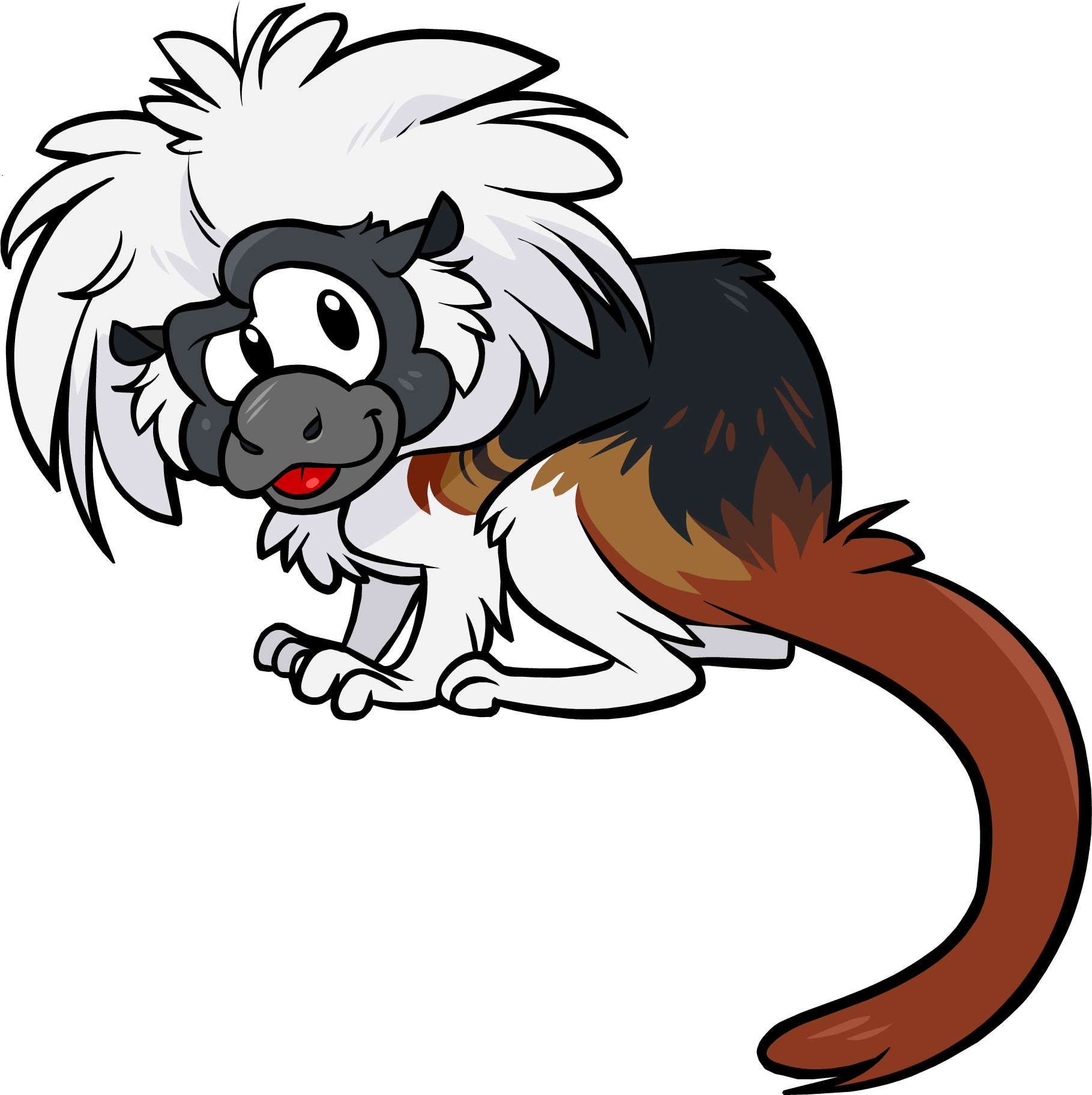 Tamarin - Cotton Top Tamarin Png (1819x1825), Png Download