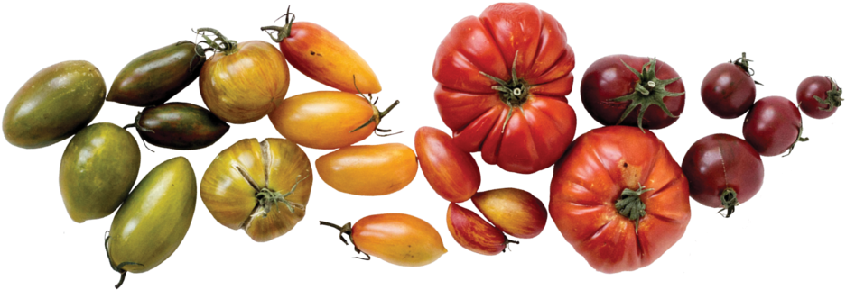 Heirloom Tomato Divider 2 (1000x400), Png Download
