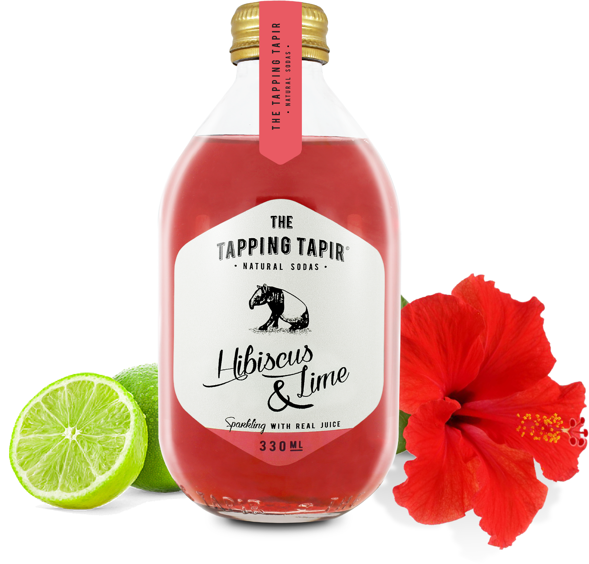Hibiscus & Lime (2503x2503), Png Download
