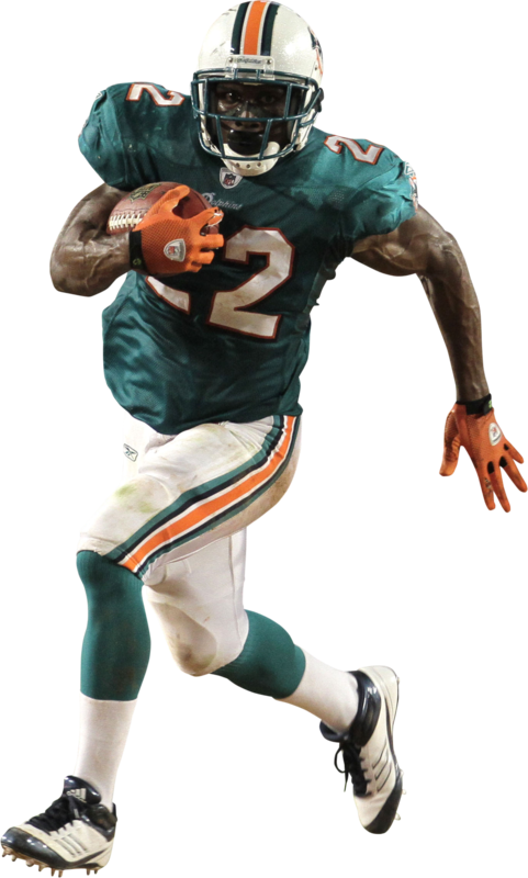 Miami Dolphins Charter Bus Rental (481x800), Png Download